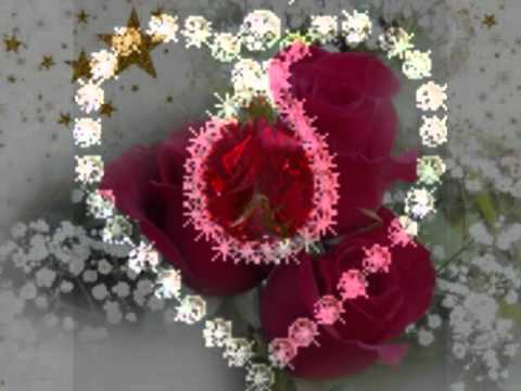 VIDA.wmv   LOS SOÑADORES