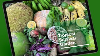 Tropical Survival Garden EBOOK: Guide to FINANCIAL FREEDOM & FOOD SECURITY, Permaculture Foodforest