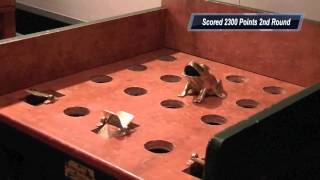 Head to Head SAPO® Game