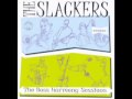 The Slackers- Feed My Girl Ska 