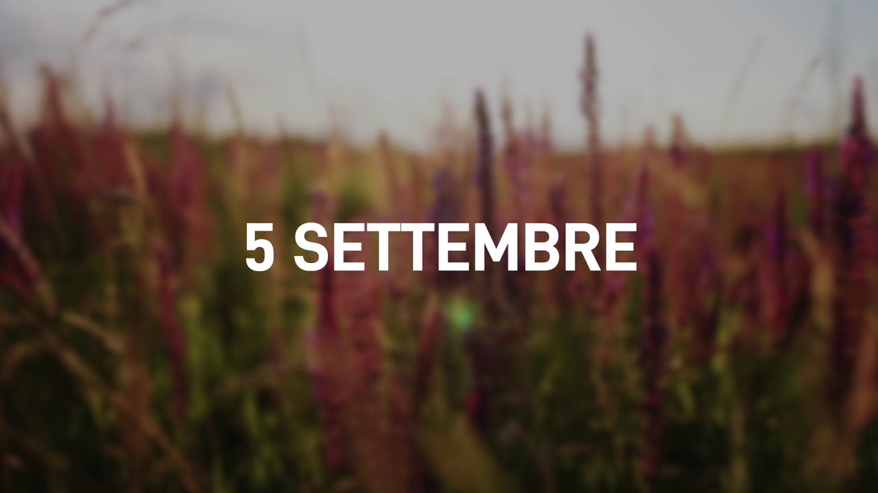 5 Settembre 2025 | Meditazione Parole di Vita