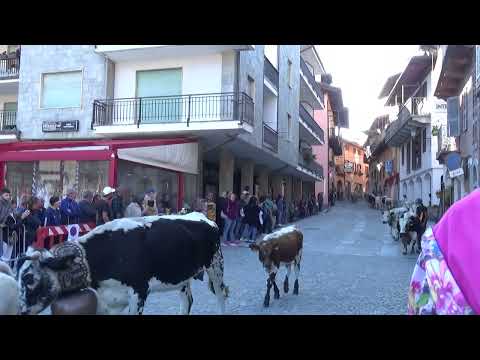 la ruduna alla fiera di  San michele a sampeyre