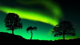 8 Hour Relaxing Music Sleep: Delta Waves, Sleeping Music, Meditation Music, Insomnia ☯980