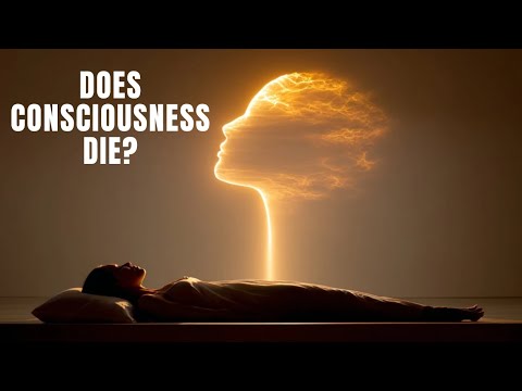 Does Consciousness Ever Truly Die? What Happens to Awareness After Death