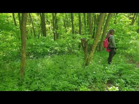 Fântâna Mare, Tulcea.