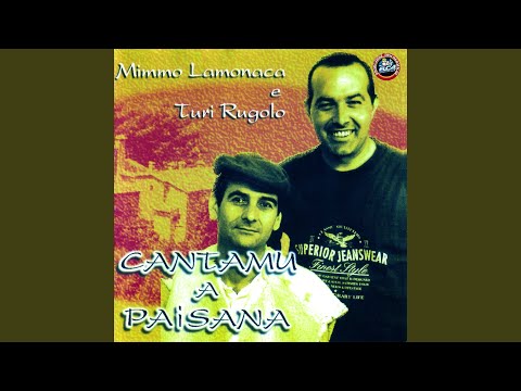 Pacchianella calabrisi