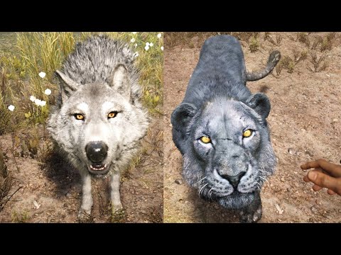 Far Cry Primal - 100% Game - Review - All Beasts - Skills - Upgrade