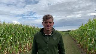 Download the video "Majsdagen 2020  Endre på Gotland"