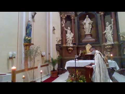 7.5.2020 mše svatá / májová pobožnost