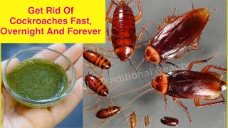 How To Get Rid Of Cockroaches Fast, Overnight And Forever In Kitchen Cabinets Naturally