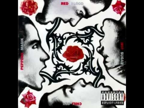 Red Hot Chili Peppers   Sir Psycho Sexy