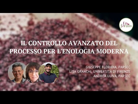 Il controllo avanzato del processo per l'enologia moderna