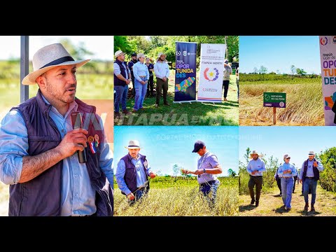 AVANZA EXITOSAMENTE EL PROGRAMA DE AGRICULTURA SOSTENIBLE EN ITAPÚA