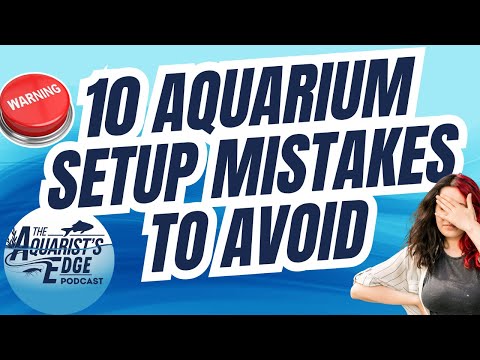 Top 10 Aquarium Setup Mistakes to Avoid: Expert Freshwater Fishkeeping Tips for Beginners & Beyond