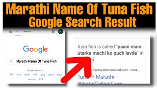Marathi Name Of Tuna Fish Full Song Free Download 2023 Watch HD Mp4 Videos  Download Free