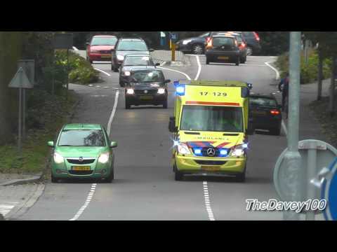 A1 AMBU 17129 Anemonelaan Rozenburg Zh bon 81512