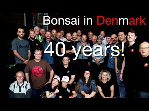 Danish Bonsai Show 2021 - 40 years Jubilee