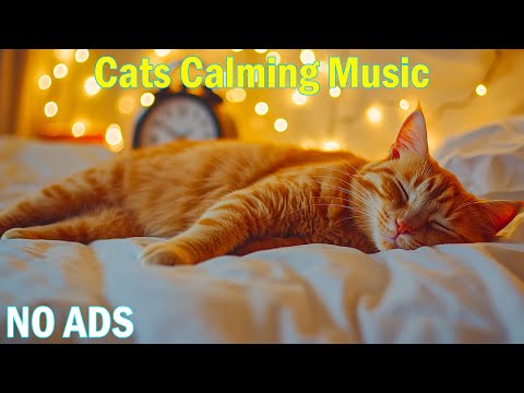 12 Hours of Relaxing Music for Cats🐱Soothing Melodies to Help Cats Sleep🐾Healing Music for Cats