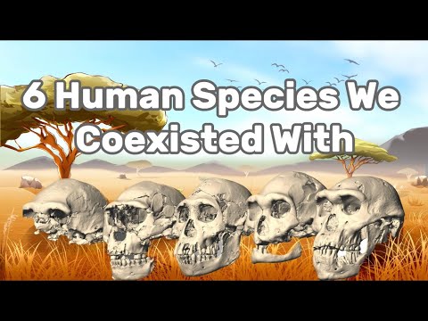 6 Ancient Human Species We Once Co-Existed With