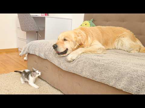 YouTube 썸네일