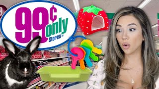 Things You Can Buy at the 99 CENT STORE for Rabbits!