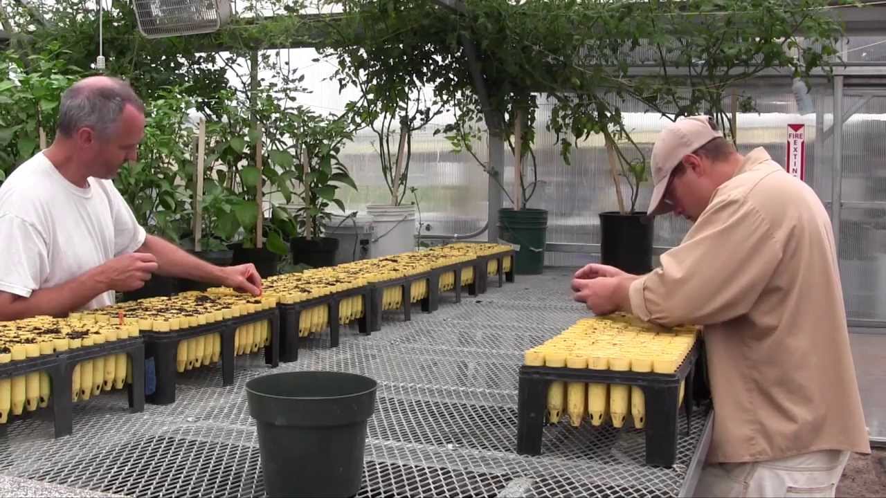 Sustainability in Prisons