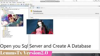 MS SQL SERVER AND V.S. C#
