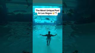 The Most Unique Pool In Las Vegas