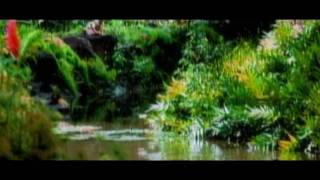 Coko - Sunshine [Hot Sun Remix]