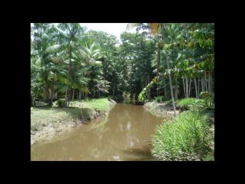 Nomen Nescio-Double 01(Van Gelder remix)