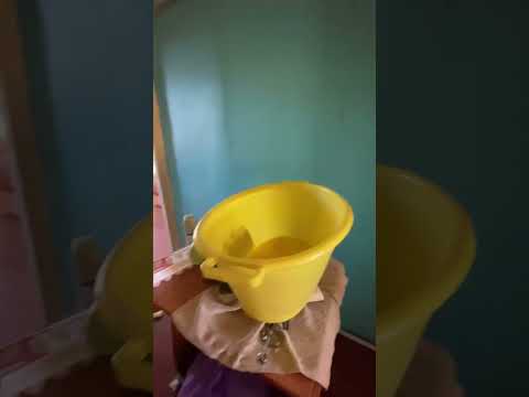 19 марта 2025 г.