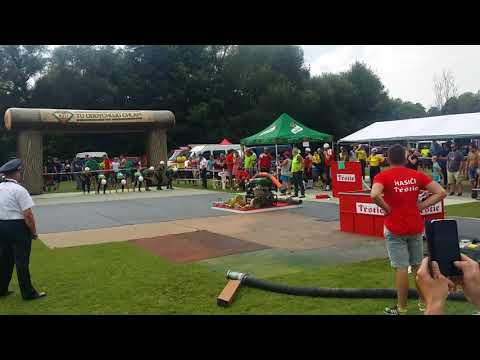 DHZ Dežerice ženy - Trstie 2019