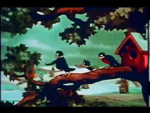Jaye Bartell -- Bird House (Official Video)