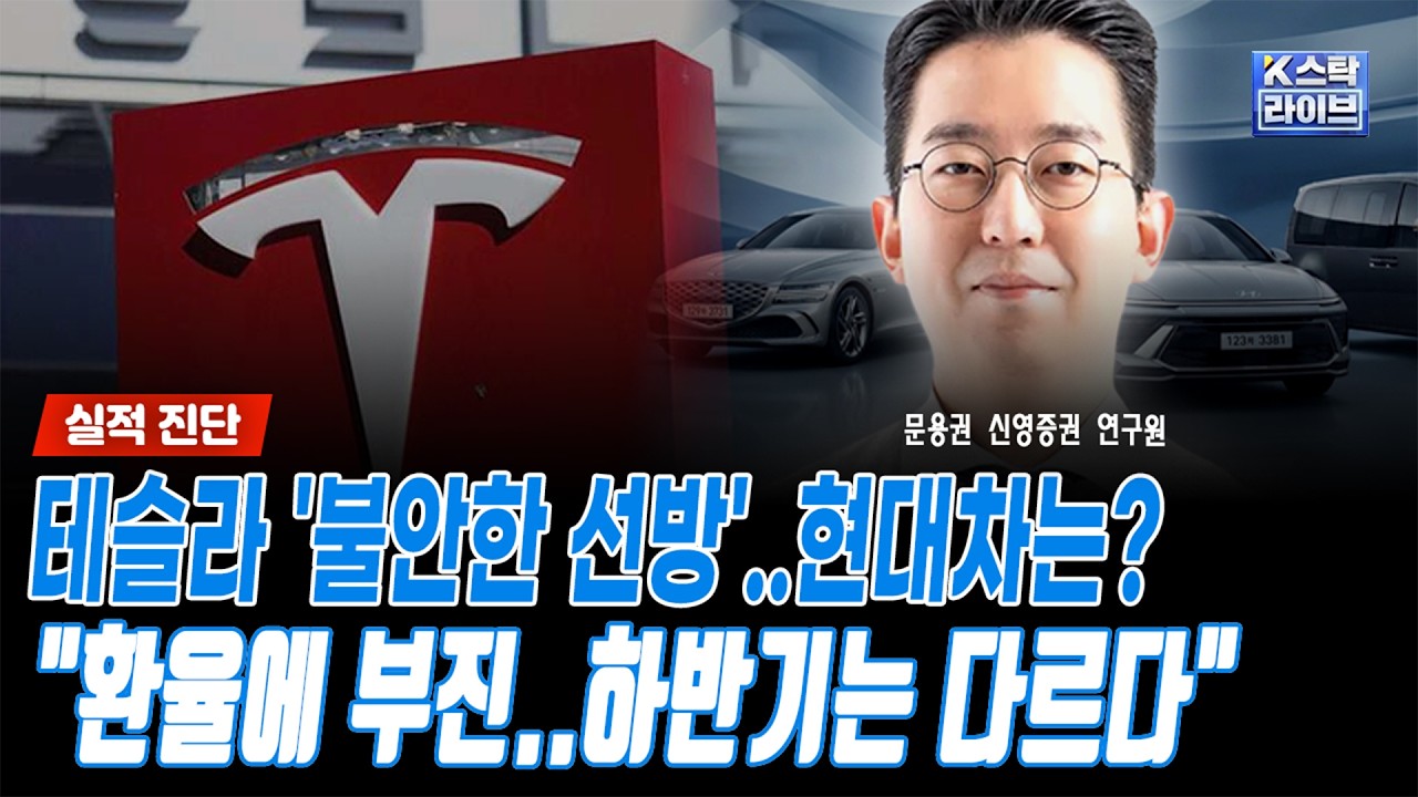 테슬라 '불안한 선방'..현대차는? "환율에 부진..하반기는 다르다"ㅣ문용권 신영증권 연구원