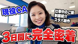 アメリカでパワフルに働く現役CAのライフスタイルってこんな感じ✈️  制服紹介｜仕事めし｜スターバックス