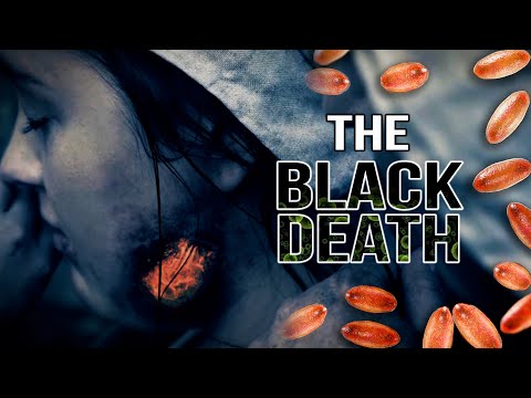 What Caused London's First Epidemic? | The Great Plague | Part 1