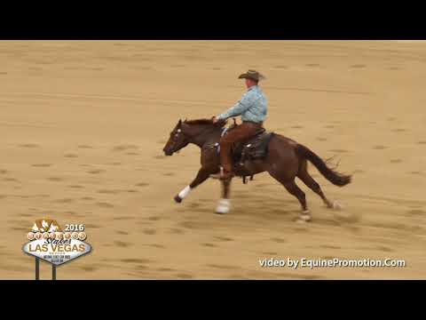 SJR Diamond Rey shown by Corey Cushing - 2016 Stallion Stakes (Rein)