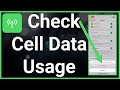 How To Check Cellular Data Usage On iPhone