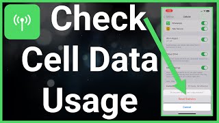 How To Check Cellular Data Usage On iPhone