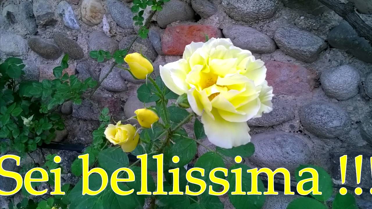 Buon Compleanno a Mia Figlia.