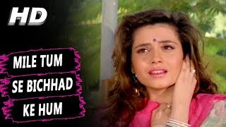 Mile Tumse Bichad Ke Hum Lyrics - Salaami