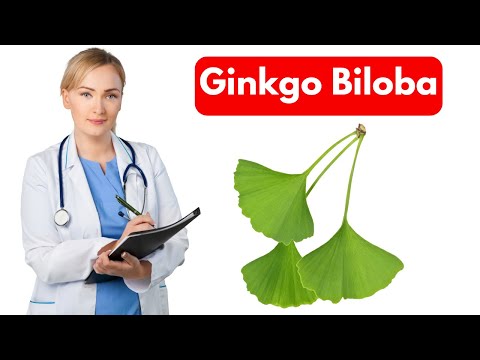 Mi az a Ginkgo Biloba? 8 Testünkre Gyakorolt Jótékony Hatása