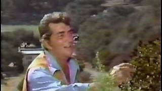 Dean Martin - Almost Like Being In Love