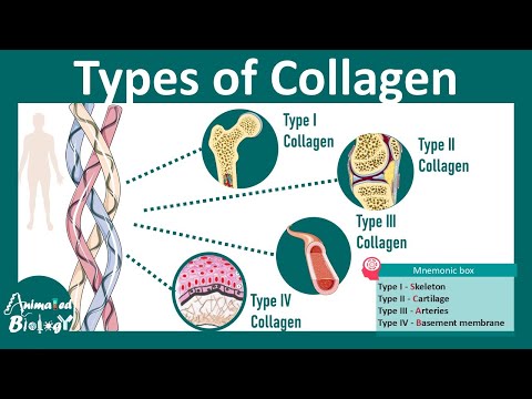 T-Heal Muco-Polysaccharide, Collagen Type I & Vitamin C Capsules