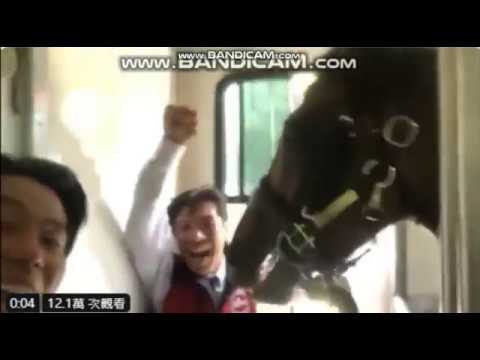 【迪雅卓 英國之旅】勇勝G1蘭秀錦標 獲獎勵 香蕉 Aug2, 2019: Glorious Goodwood: Japanese mare Deirdre wins G1 Nassau Stakes