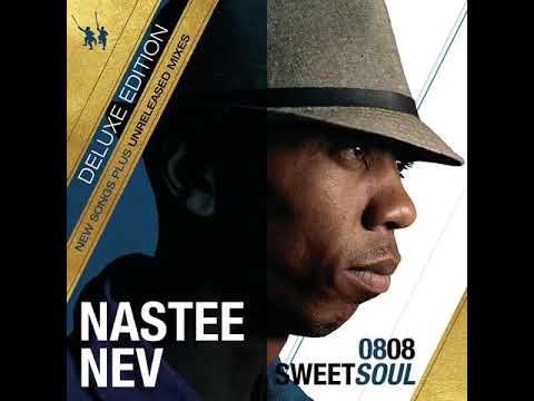 Nastee Nev - fly away