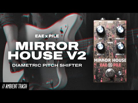 Electronic Audio Experiments Mirror House V2 image 2