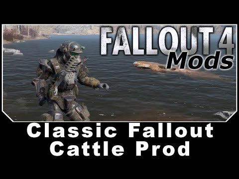 Miniature de la vidéo