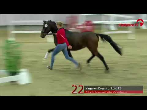 22 Junghengst v. Nagano - Dream of Lord RB