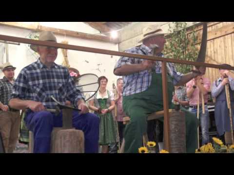 Sichelhenke 2015 Frickingen